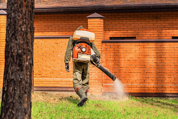 Trusted Bed Bug Control service in Fairhope, PA - Nex Pest Control